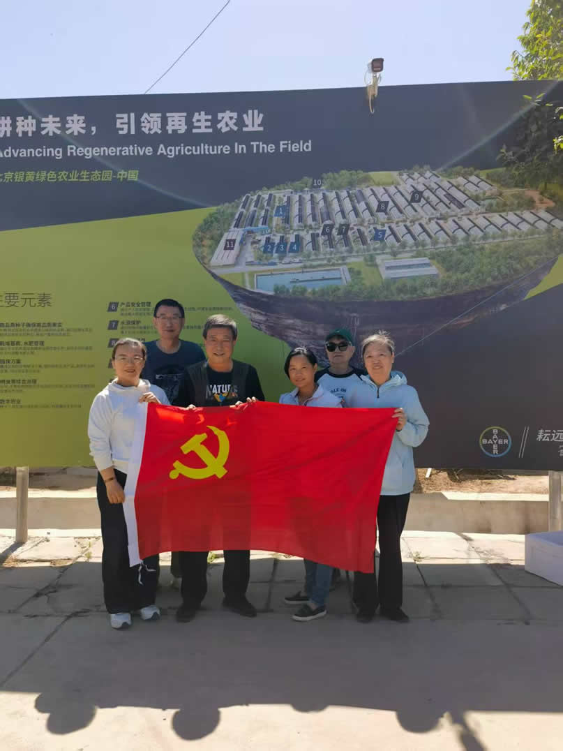 党旗.jpg