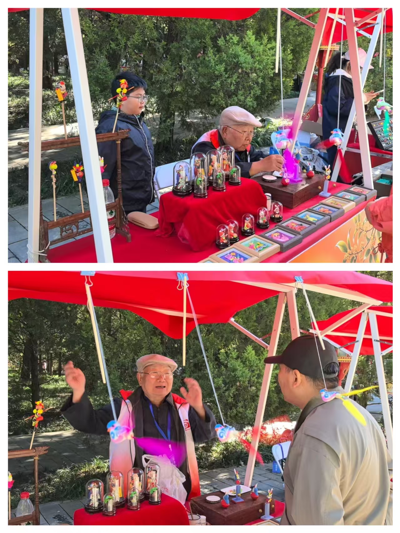 杨二合一.jpg